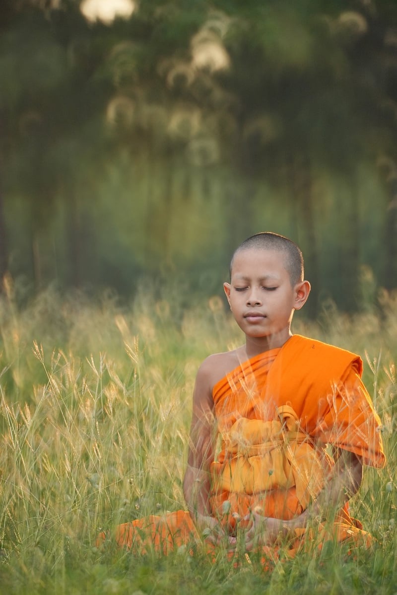 Meditation and Peace